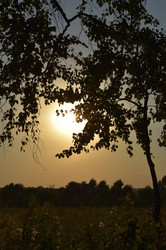 Similar image 22045664