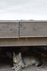 Similar image 22045667