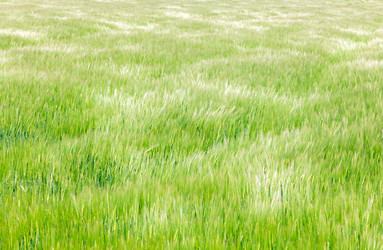 Similar image 22041893