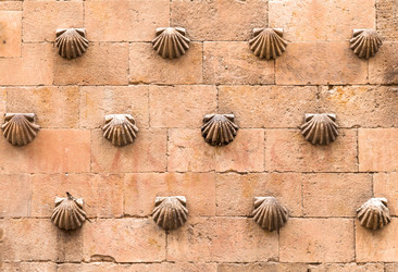 Similar image 22042897