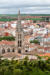 Similar image 22042904