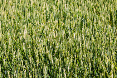 Similar image 22042912