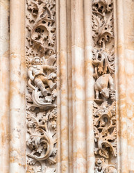 Similar image 22042917