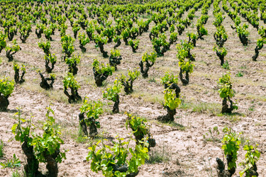 Similar image 22042918