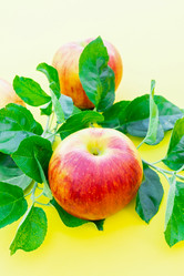 Similar image 22043786