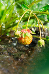 Similar image 22043795