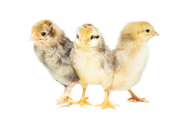 Similar image 22043797