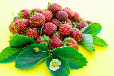 Similar image 22043818