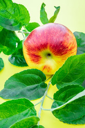 Similar image 22043820