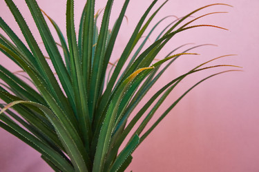 Similar image 22041485