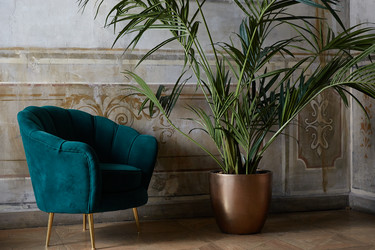 Similar image 22041487