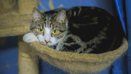 Similar image 22042353