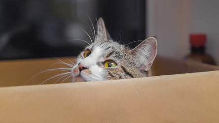 Similar image 22042354