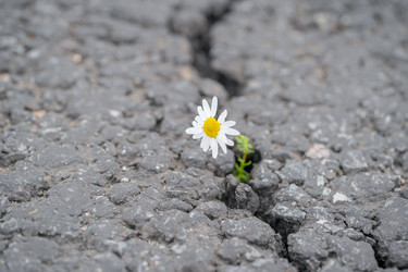 Similar image 22042355