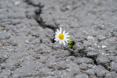 Similar image 22042357