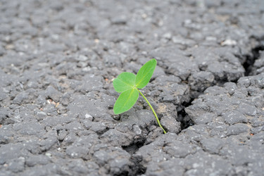 Similar image 22042385