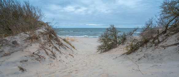 Similar image 22042386