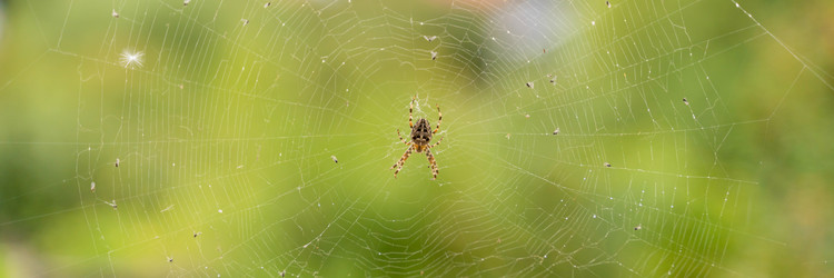 Similar image 22042387