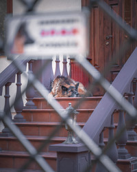 Similar image 22042390