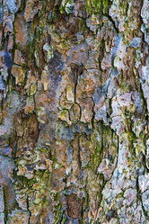 Similar image 22042394