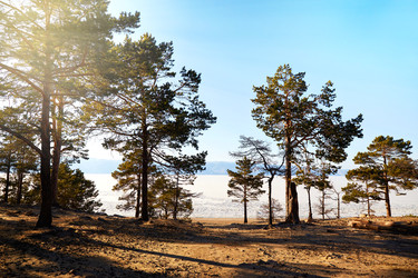 Similar image 22048725