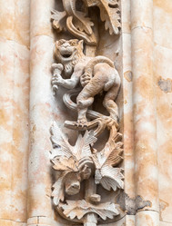 Similar image 22042919