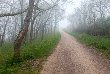 Similar image 22042953