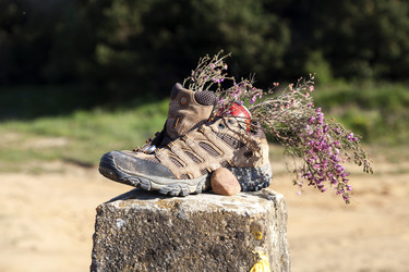 Similar image 22042954