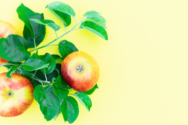 Similar image 22043843