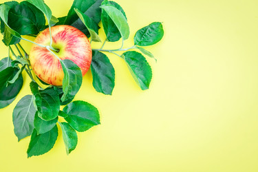 Similar image 22043845