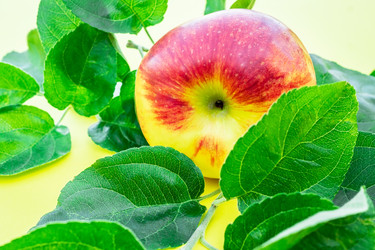 Similar image 22043851