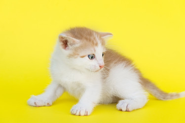 Similar image 22043857