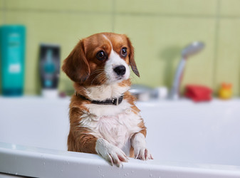 Similar image 22041474