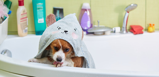 Similar image 22041478