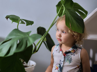 Similar image 22041513