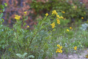 Similar image 22048623