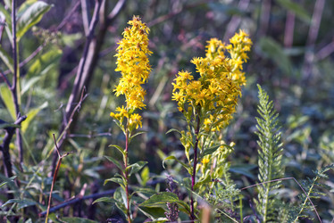 Similar image 22048624