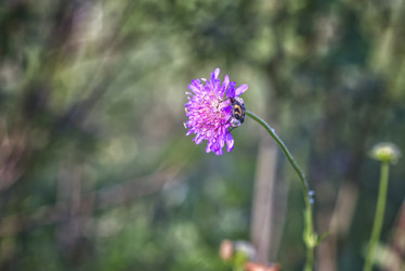 Similar image 22048625