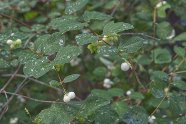 Similar image 22048626