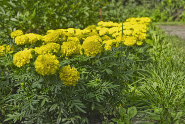 Similar image 22048627