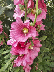 Similar image 22048629