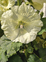 Similar image 22048630