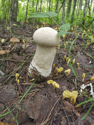 Similar image 22048631