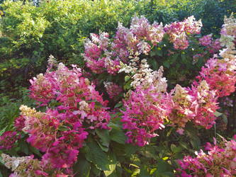 Similar image 22048633