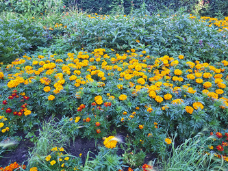 Similar image 22048634