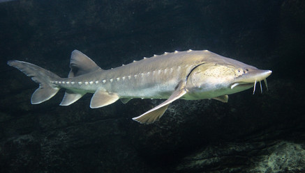 Similar image 22041862