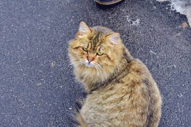 Similar image 22041710