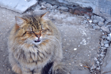 Similar image 22041711