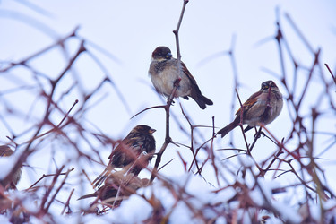 Similar image 22041713