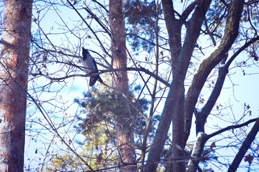 Similar image 22041714